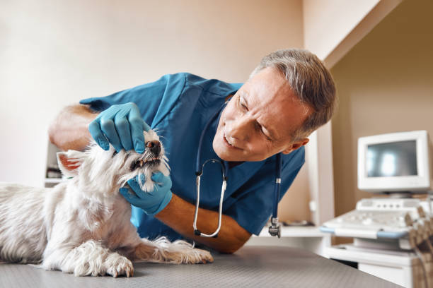 Best Emergency Dental Extractions in Heavener, OK